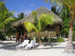 atropical hut with white chairs and a palm tree at Tikehau Paradise in Tikehau Airport