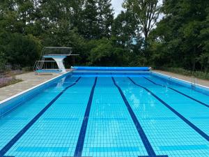 a large blue swimming pool with a volley ball hoop at Stillwater Lodge De Rijd in Nieuwe-Niedorp