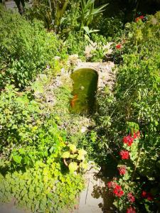 A garden outside Tirelli Apartment Roma
