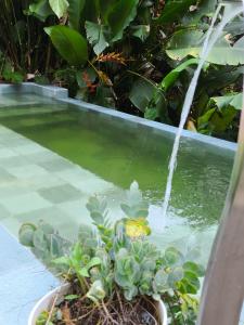 Galeriebild der Unterkunft Cabana na cachoeira do 18 in Gravatal