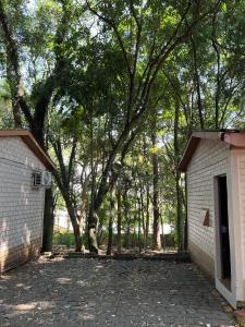 a parking lot with a building and trees at Angico Motel in Passo Fundo