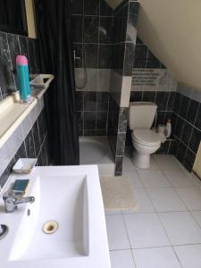 a bathroom with a sink and a toilet at Appart 3 sous combles in Bray-Dunes