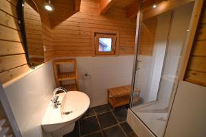 ein Badezimmer mit Toilette, Waschbecken und Dusche in der Unterkunft La Grande Ourse in Durbuy + 25 Fotos