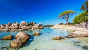 una piscina de agua con rocas y un árbol en L'Attellu Di Babbu pour 2, en Lecci