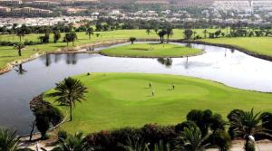 
a green field with a lake and palm trees at Hotel AR Golf Almerimar in Almerimar
