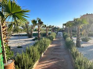 Κήπος έξω από το Villa avec piscine privée et sans vis à vis à Marrakech