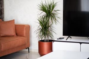 TV a/nebo společenská místnost v ubytování Mountain Maison