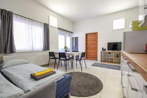 Televízia a/alebo spoločenská miestnosť v ubytovaní Island Apartment Budapest