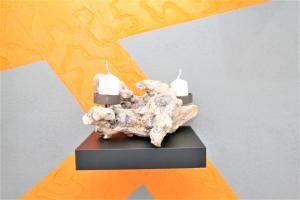 Φωτογραφία από το άλμπουμ του Ferienwohnung Glücks-Burg "Wolke" σε Γκλύξμπουργκ