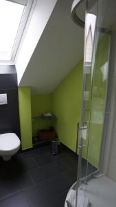 a bathroom with a toilet and a green wall at Pension Mühlrad in Herbsleben