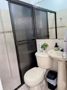 a bathroom with a toilet and a shower and a sink at apartamento en la floresta in Medellín +23 photos