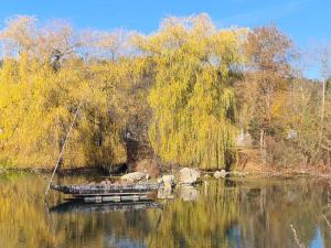 un bateau sur un lac avec des arbres en arrière-plan dans l'établissement Apartment am Schloss, à Sigmaringen
