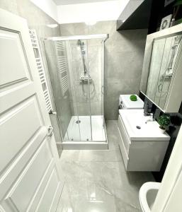a bathroom with a shower and a toilet and a sink at Sky View - Free parking in Iaşi