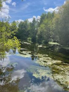 a reflection of trees in the water of a river at L' otentic in Conie-Molitard +9 photos