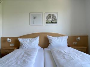Gallery image of Hotel Pension Seehaus in Bodman-Ludwigshafen