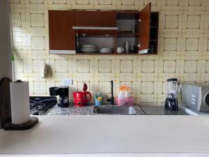 eine Küche mit Spüle und Arbeitsplatte in der Unterkunft Monoambiente Zona Güemes in Mar del Plata