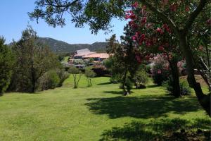 a green yard with trees and a house in the background at Capo Ceraso Family Resort in Costa Corallina