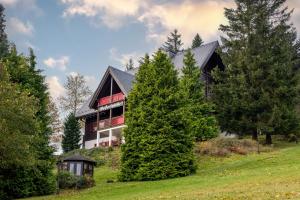 a large house on top of a hill with trees at Ferienanlage Zum Silberstollen 2 Häuser am Berg Polderhof und Weißeritzhütte in Kurort Altenberg