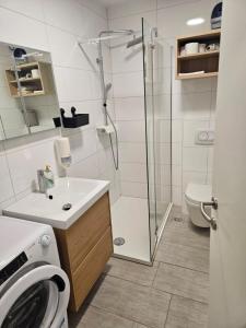 Koupelna v ubytování Apartma Zala