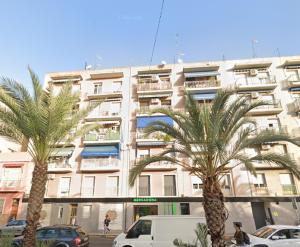 two palm trees in front of a building at Casa Sempere in Elche