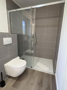 a bathroom with a toilet and a glass shower at Ferien auf dem Land nahe der Ostsee in Hasselberg