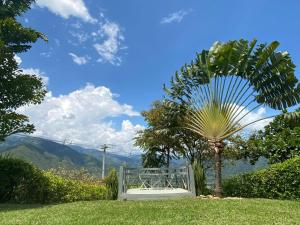 Naturlandskabet i nærheden af feriehuset
