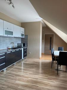 Kuchyň nebo kuchyňský kout v ubytování Korall Apartman