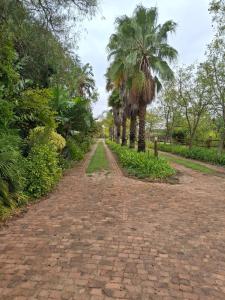 Taman di luar Timeless at Rusticana