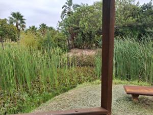 Taman di luar Timeless at Rusticana