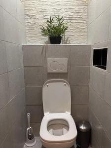 a bathroom with a toilet and a plant on a shelf at FactoryLoftCosy Gare à 5mins in Bellegarde-sur-Valserine +9 photos