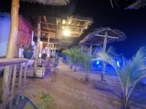 Zahrada ubytování Amwaj Blue Cabana Arugambay