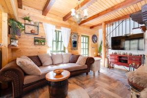 TV a/nebo společenská místnost v ubytování Kuća za odmor uz rijeku Slapnica, u Parku prirode Žumberak, finska sauna i jacuzzi