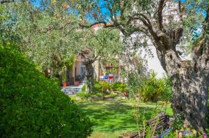 a garden with trees and a house in the background at Villa Eden in Limenas