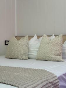 ヴァルナ・シティにあるDayanas Suiteのベッド1台(枕3つ、毛布付)