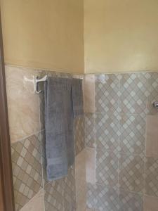 a bathroom with a shower with a blue towel at Suzie's Nest in Lilongwe +11 photos