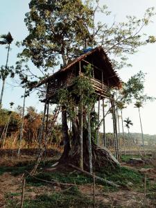 Mynd úr myndasafni af Nomad's Arc Wayanad í Chegāt