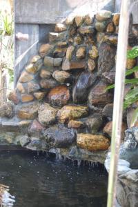 een rotswand naast een vijver met een fontein bij Orchid Villa in Negombo