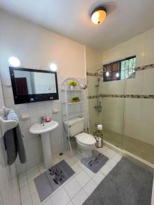 une salle de bain avec toilettes, douche et lavabo dans l'établissement Casa Corona Plaza, à Santiago de los Caballeros