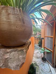 Foto da galeria de Hotel Casa Mallorca em Cancún