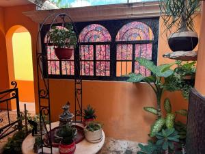 Foto da galeria de Hotel Casa Mallorca em Cancún