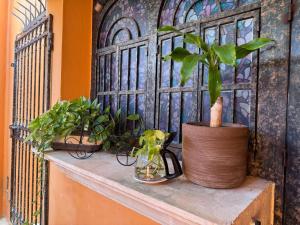 Foto da galeria de Hotel Casa Mallorca em Cancún