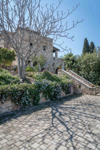 A garden outside Klymeni Traditional Homes