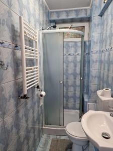 Koupelna v ubytování Zlata Tiny Home