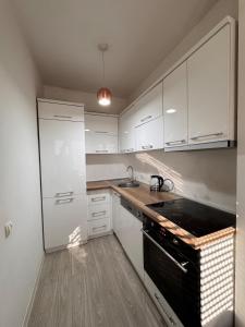 Kuchyň nebo kuchyňský kout v ubytování DL Apartment