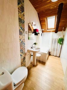a bathroom with a toilet and a sink at Apartamento La Buhardilla del Boscache in San Juan de Plan