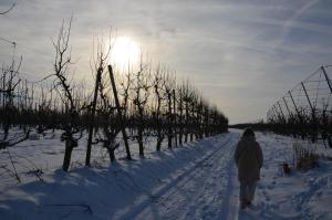 Hoeve BôThé - Vakantiewoning v zimě