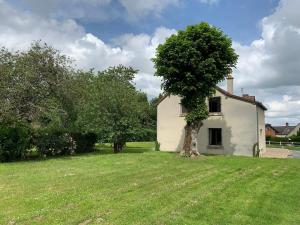 a tree in the yard of a white house at Les Vendanges Maison Vigneronne in Reuilly