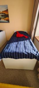 Postel nebo postele na pokoji v ubytování Ubytko Na náměstí