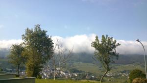 a group of trees on top of a hill at Hotel Parrilla el Zangano in Boal
