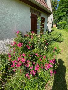 Reuil-en-BrieJolie duplex avec vue sur forêt的一座房子前面的粉红色花丛